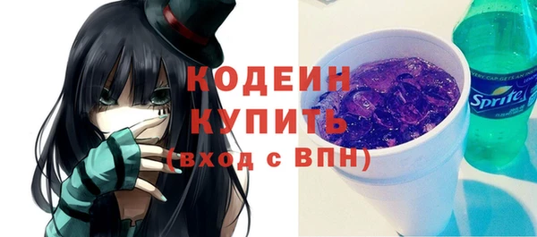 индика Киреевск