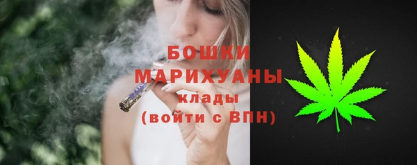 индика Киреевск