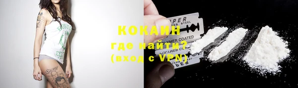 индика Киреевск