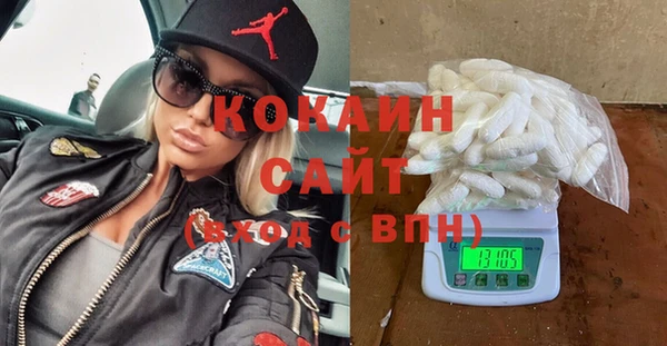 индика Киреевск