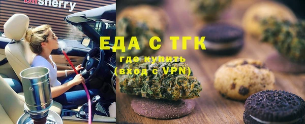 индика Киреевск