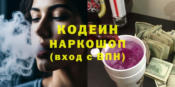 индика Киреевск