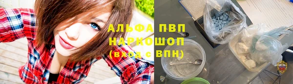 индика Киреевск