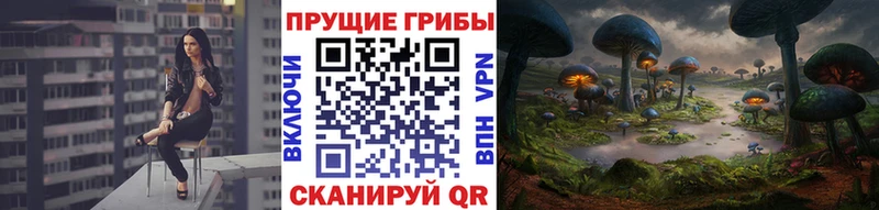 Купить закладки  Белый  Галлюциногенные грибы мицелий 